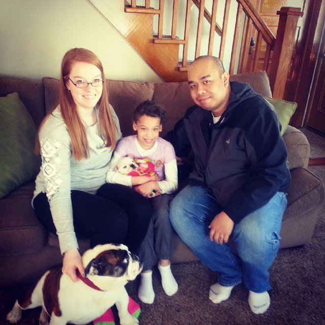 English Bulldog Puppies