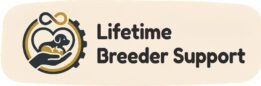 Home Pets | Mario Walker's Bullies Home Pets